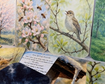 Spring Season Cards, Seasonal Table Decoration, Education, Nature Storytelling, Homeschool, Classroom, Montessori, Waldorf, Early Learning