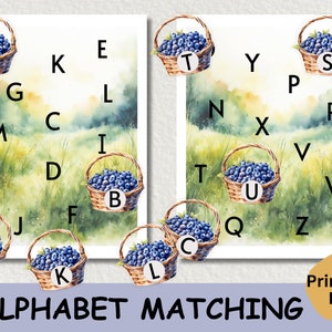 Cartes assorties avec lettres nature, activité de reconnaissance de l'alphabet, jeu imprimable ABC de la maternelle Montessori, lettres majuscules et minuscules