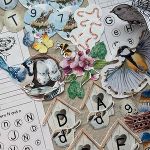 Spring Birds Matching Sorting Activity Pack, Spring Learning Worksheets, Bundle Morning Basket, Montessori Materials Spring Study Unit