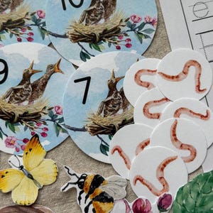 Spring Birds Matching Sorting Activity Pack, Spring Learning Worksheets ...