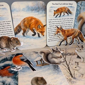 May include: A selection of animal illustrations, such as a red fox, squirrel, vole, and rabbit, displayed on a winter scene. The images are accompanied by text describing the animals' winter behaviours. Measurements are not applicable.