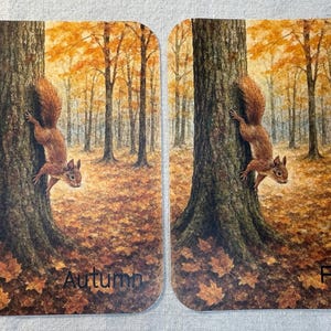 May include: Two rectangular cards with autumn-themed illustrations. Each card features a brown squirrel climbing a tree in a forest with orange and yellow foliage. One card reads "Autumn" and the other reads "Fall".