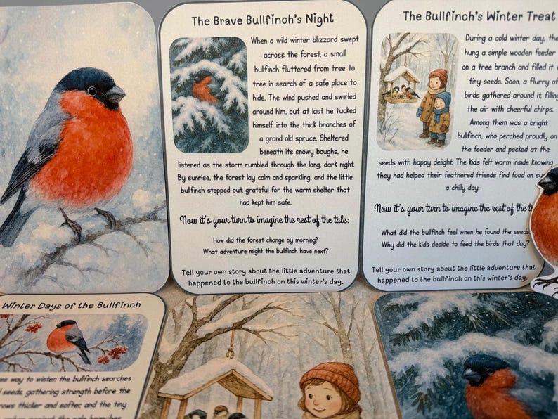 May include: Illustrated cards with a bullfinch, winter scenes, and text. The cards show a bullfinch in a blizzard, children feeding birds, and the bird's winter adventures. The text includes prompts for storytelling about the winter season.