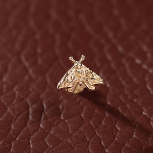 May include: A small, gold-toned metal stud earring shaped like a moth with detailed wing patterns and two antennae. The piece features a polished finish that reflects light, showcasing the intricate texture of the insect's wings and body structure.