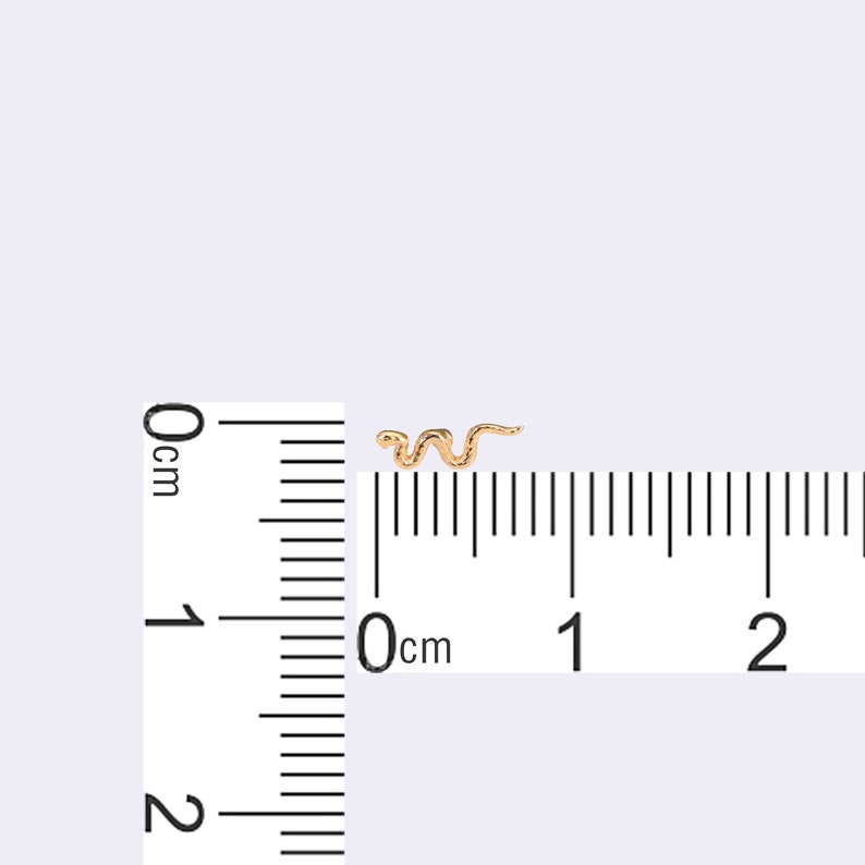 Puede incluir: Un peque&ntilde;o dije en forma de serpiente de color dorado colocado junto a una regla blanca. El dije de serpiente mide aproximadamente 1,3 cm de largo, seg&uacute;n indican las marcas de la regla colocada debajo y al lado del objeto.