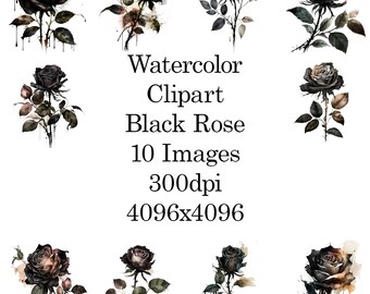 Black Rose Clipart -10 High-Quality PNGs/JPGs, Digital Download, Commercial Use, Card Making, Mixed Media, Digital Paper Craft, Watercolor