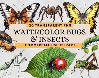 Watercolor Bugs & Insects Clipart Bundle - 20 transparent background cute creepy crawlers PNG for books, illustrations, and web design.