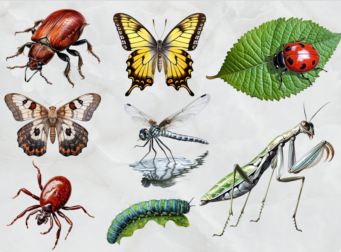 Watercolor Bugs Insects Clipart Bundle 20 Transparent Background Cute