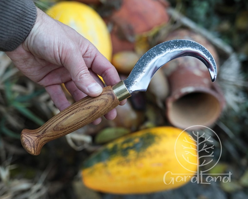 Puede incluir: Un cuchillo de cosecha curvo con una hoja plateada y un mango de madera. El mango tiene detalles en lat&oacute;n y un veteado de madera marr&oacute;n claro. La hoja en forma de media luna est&aacute; dise&ntilde;ada para la cosecha.