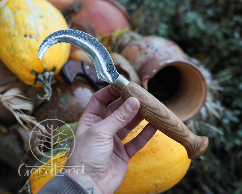 Puede incluir: Un cuchillo de cosecha curvo con una hoja plateada y un mango de madera. El cuchillo tiene una virola de lat&oacute;n y se sostiene en una mano. Las calabazas y las calabazas est&aacute;n en el fondo. El cuchillo probablemente se utiliza para la cosecha o la jardiner&iacute;a.