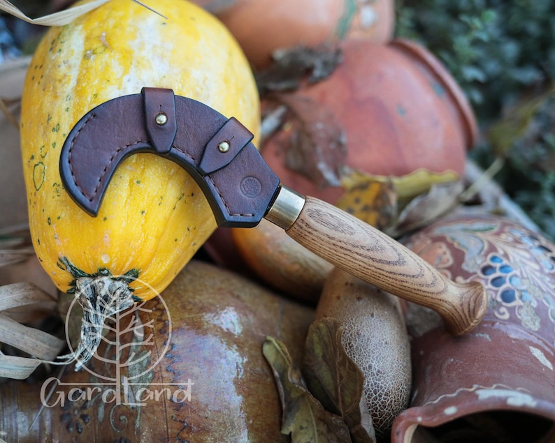 Puede incluir: Un cuchillo curvo con mango de madera y funda de cuero marr&oacute;n. El cuchillo descansa sobre una calabaza amarilla, con otras calabazas y cer&aacute;mica en el fondo. El cuchillo tiene una virola de lat&oacute;n.