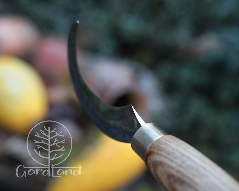 Puede incluir: Primer plano de un cuchillo de hoja curva de acero inoxidable con mango de madera. La hoja tiene una punta afilada y un borde curvo. El mango es de color marr&oacute;n claro. El cuchillo est&aacute; dise&ntilde;ado para tareas de corte detalladas.