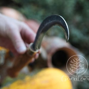 Puede incluir: Un cuchillo de jard&iacute;n curvo de color plateado con mango de madera. La hoja est&aacute; muy curvada y el mango es de color marr&oacute;n claro. El cuchillo est&aacute; dise&ntilde;ado para cosechar o podar plantas. El fondo est&aacute; borroso, con toques de verde y amarillo.
