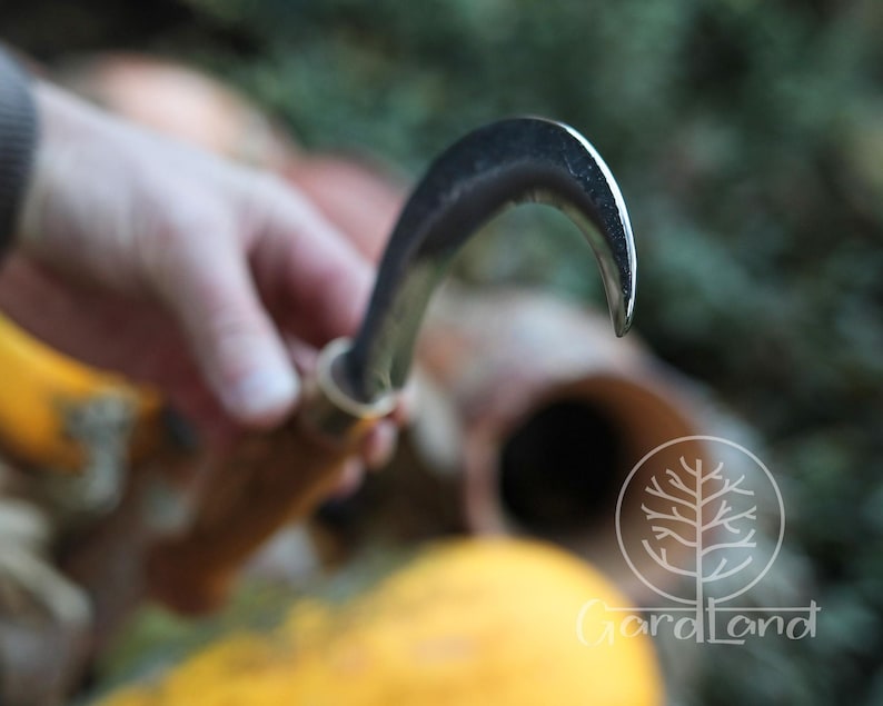 Puede incluir: Un cuchillo de jard&iacute;n curvo de color plateado con mango de madera. La hoja est&aacute; muy curvada y el mango es de color marr&oacute;n claro. El cuchillo est&aacute; dise&ntilde;ado para cosechar o podar plantas. El fondo est&aacute; borroso, con toques de verde y amarillo.