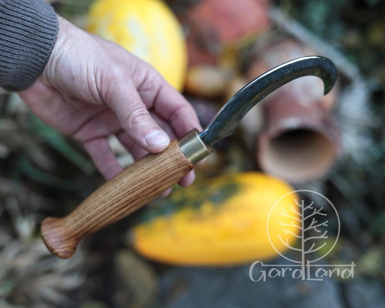 Puede incluir: Una hoja curva de acero inoxidable con un mango de madera y una f&eacute;rula de lat&oacute;n. El mango es de madera marr&oacute;n claro. La herramienta est&aacute; dise&ntilde;ada para la cosecha y la jardiner&iacute;a. El fondo incluye calabazas amarillas y follaje.