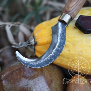 Puede incluir: Una hoja curva de color plateado con un mango de madera y una virola de lat&oacute;n. La hoja est&aacute; colocada sobre una calabaza amarilla, lo que sugiere una herramienta de cosecha. Una funda de cuero marr&oacute;n es visible en el fondo.