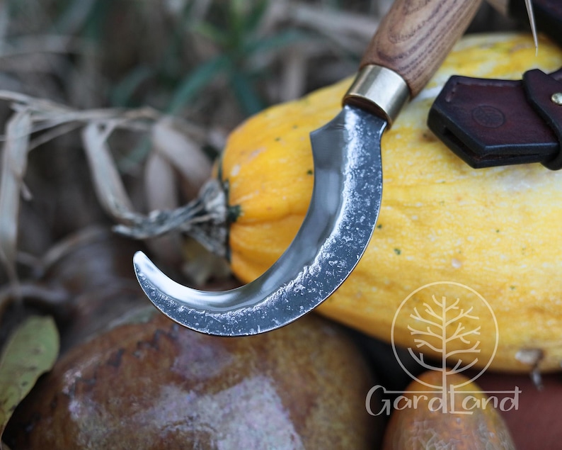 Puede incluir: Una hoja curva de color plateado con un mango de madera y una virola de lat&oacute;n. La hoja est&aacute; colocada sobre una calabaza amarilla, lo que sugiere una herramienta de cosecha. Una funda de cuero marr&oacute;n es visible en el fondo.