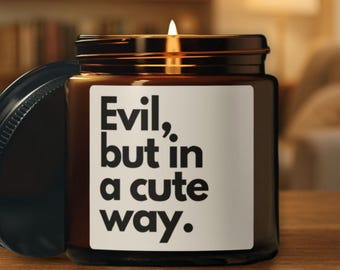 Vela de romance oscuro; regalo moralmente gris; malvado, pero con ternura; vela de lectura MINI de 113 g; decoración picante de Booktok; regalo para amantes de los libros de fantasía.