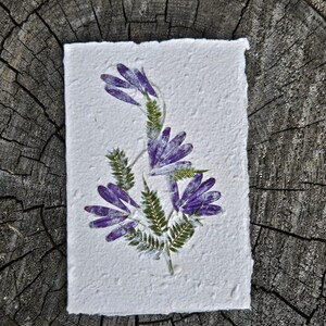 Hand-Pressed Flower Greeting Card – Real Dried Flowers – Handmade Card for Birthday, Wedding, Anniversary – Blank Nature Card