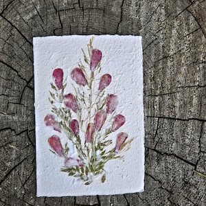Hand-Pressed Flower Greeting Card – Real Dried Flowers – Handmade Card for Birthday, Wedding, Anniversary – Blank Nature Card