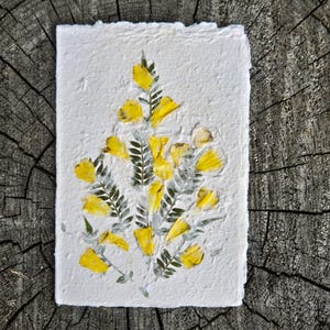 Hand-Pressed Flower Greeting Card – Real Dried Flowers – Handmade Card for Birthday, Wedding, Anniversary – Blank Nature Card