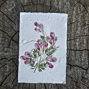 Carte de voeux fleurs pressées à la main - Vraies fleurs séchées - Carte faite main pour anniversaire, mariage, anniversaire - Carte nature vierge