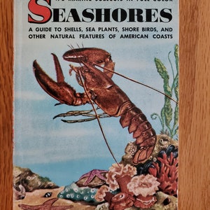 Seashores Golden Nature Guide 1955