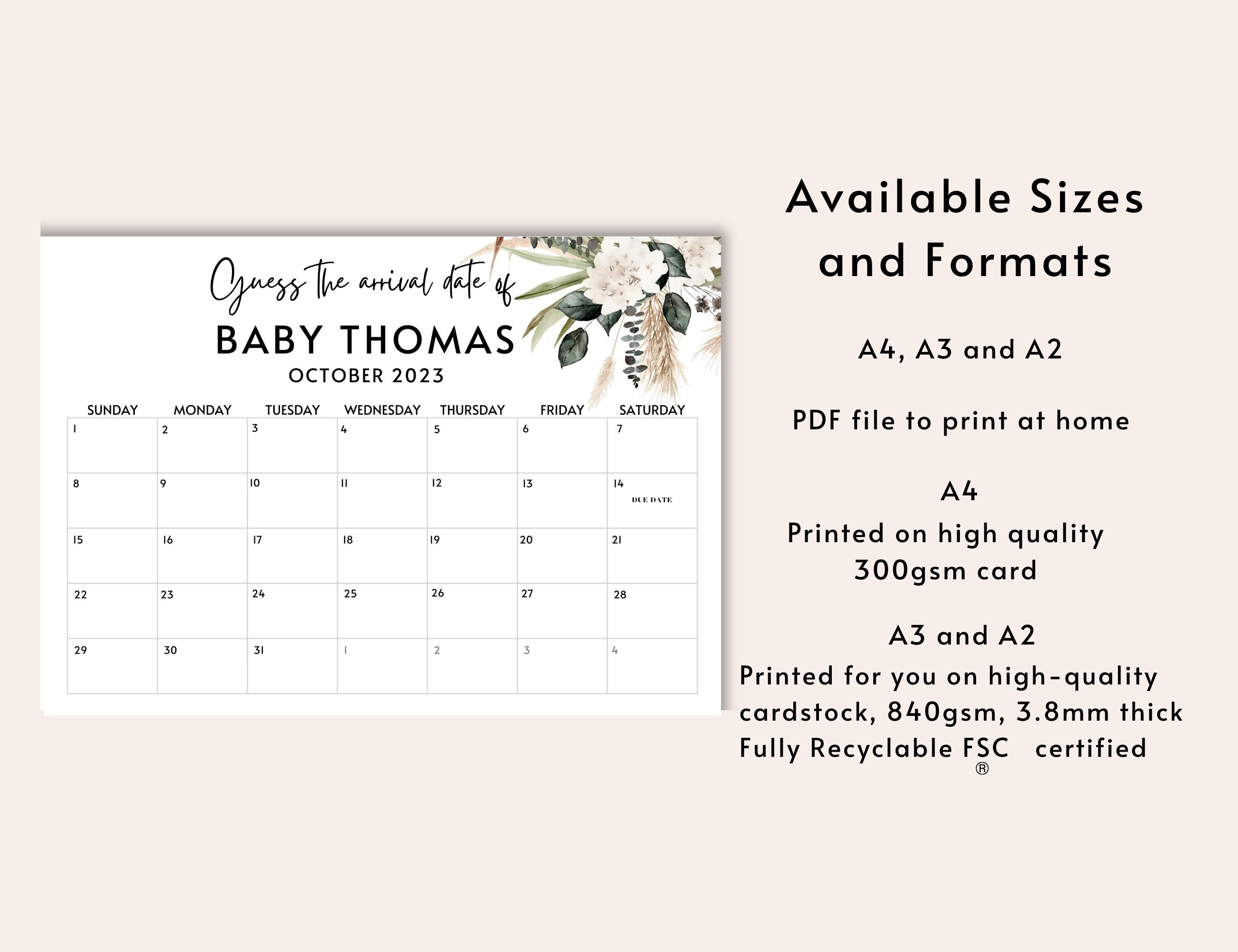 Guess the Arrival Date Calendar Boho Pampas Baby Shower Game Etsy UK