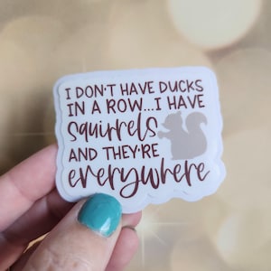 I Don't Have Ducks Squirrels Everywhere Sticker, Sarcastic Humor