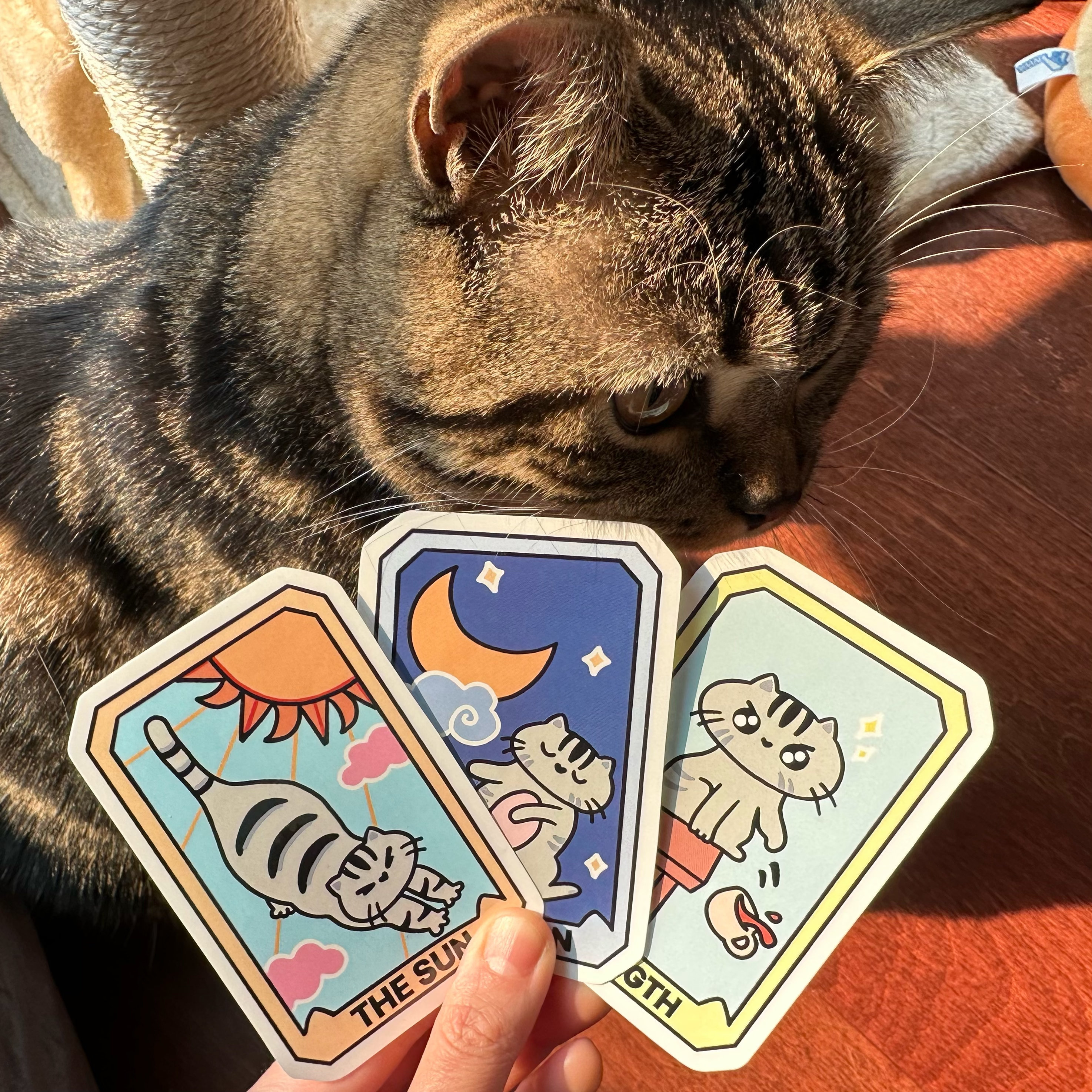 Cat Tarot Card Sticker Tarot Card Sticker Strength Tarot Etsy