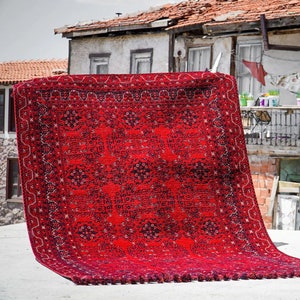 Pu&ograve; includere: Un tappeto rosso con un design persiano tradizionale. Il tappeto ha un bordo blu scuro e motivi intricati su tutta la superficie. Il tappeto &egrave; steso su una superficie di cemento.