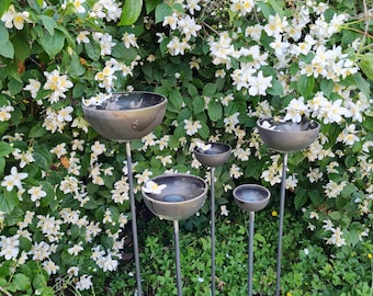 Rustic Metal Rain Catcher Set: Garden Art Plant Supports