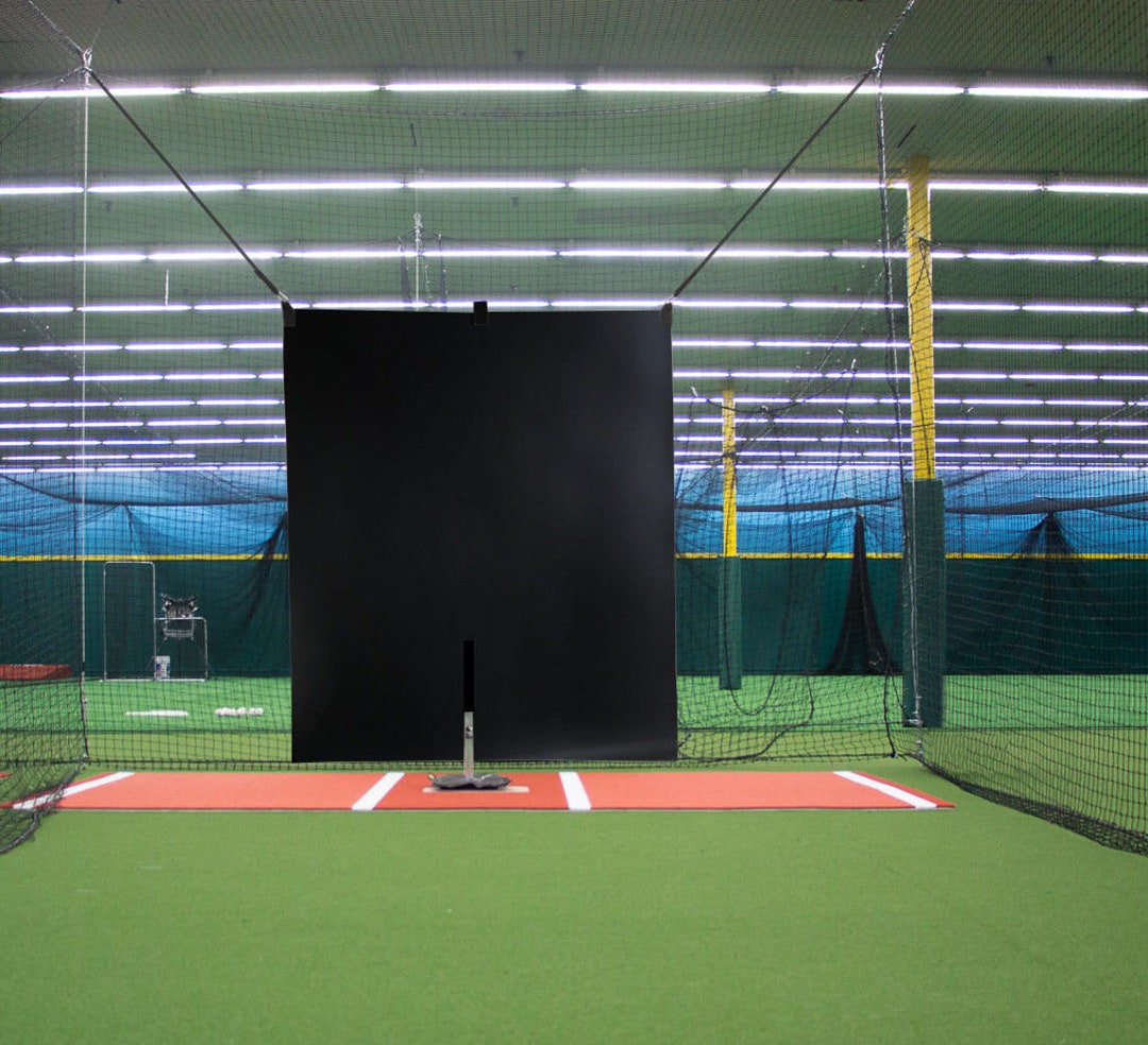 5' X 6' Vinyl Heavy Duty Baseball Batting Cage Backstop Professional Hitting Facility BACKSTOPS