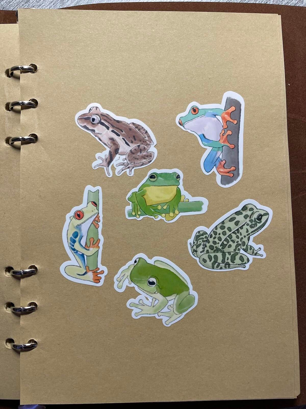 Frog Vinyl Sticker Collection - Tree Frogs - Amphibians - Water ...