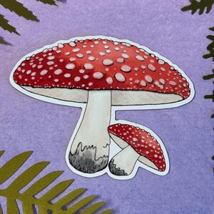 Red Toadstool Fridge Magnet - Flexible Vinyl magnet - Mushroom Magnet - Original Art - Mushroom Lover Gift - Fly Agaric - Woodland life