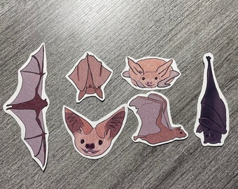 Bat Vinyl Sticker Collection / Halloween