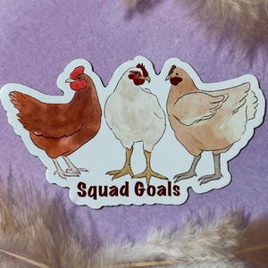 May include: A sticker with three cartoon chickens, one brown, one white, and one tan, with the text "Squad Goals" below them.