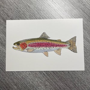 Carte postale de truite arc-en-ciel 4 x 6 - mini impression d'art - Poisson d'eau douce, extérieur, rivière, lac - Nature, art animalier - carte postale vierge - note à papa