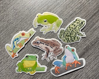 Frog Vinyl Sticker Collection - Tree frogs - amphibians - water resistant sticker set, leopard frog, red eye tree frog, frog love