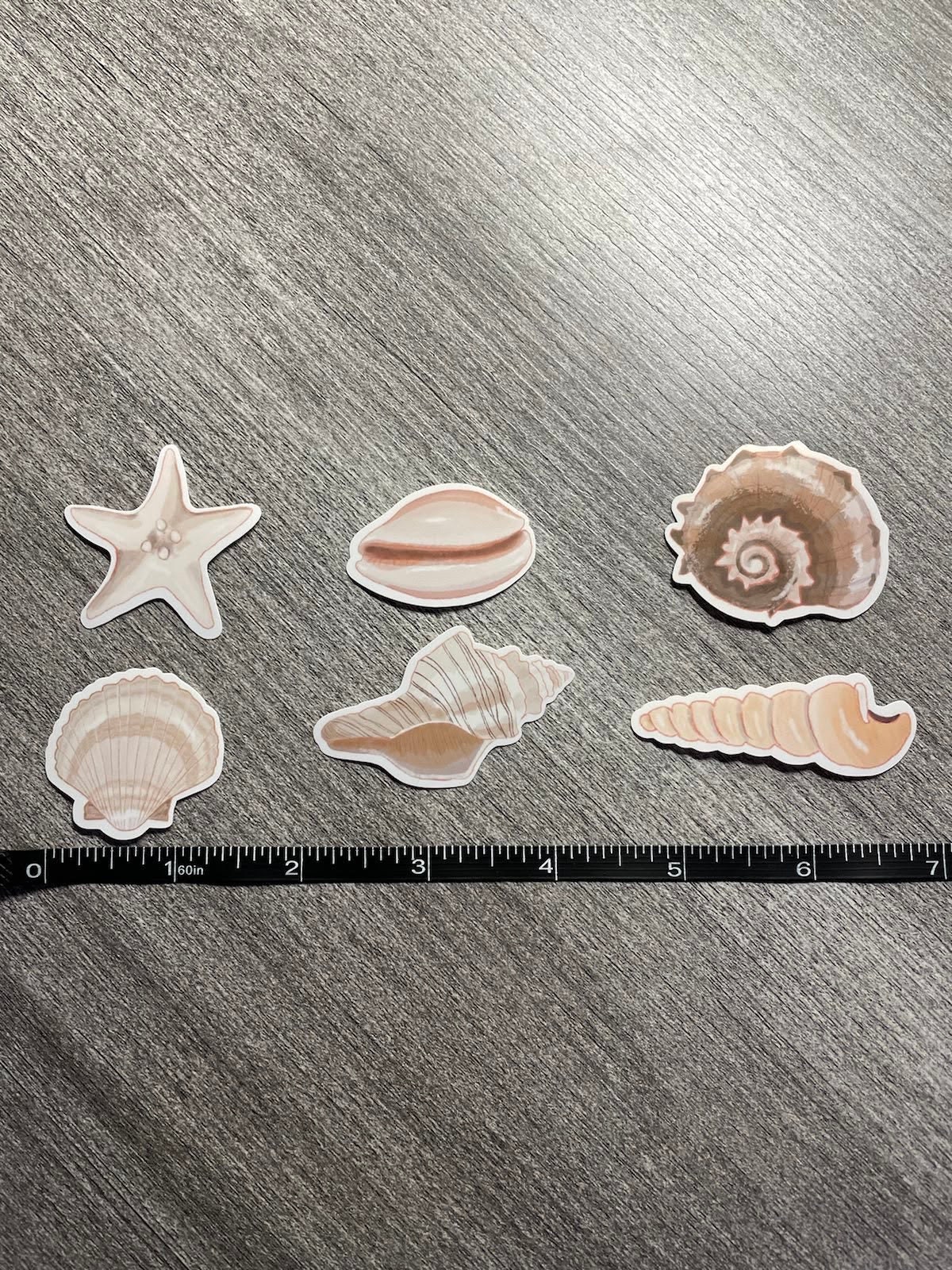 Sea Shell Glossy Vinyl Sticker Collection - Water Resistant - Beach ...