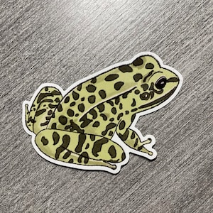 May include: A green and brown frog sticker with black spots. The frog is sitting on its hind legs with its front legs tucked in. The sticker has a white outline.