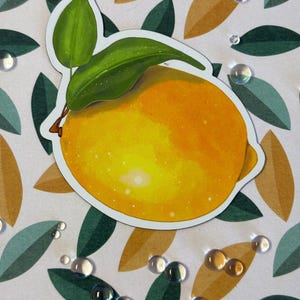 Orchard Lemon Vinyl Fridge Magnet - Original Art - flexible magnet - Citrus Fruit magnet - Orchard Collection - Gift for Her - Citrus Magnet