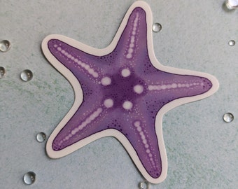 Puede incluir: Una pegatina de estrella de mar púrpura con puntos blancos. La pegatina está sobre un fondo azul claro.