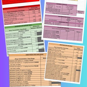 Quick Injectable Anesthetic Dog & Cat Medications - Excel Spreadsheet