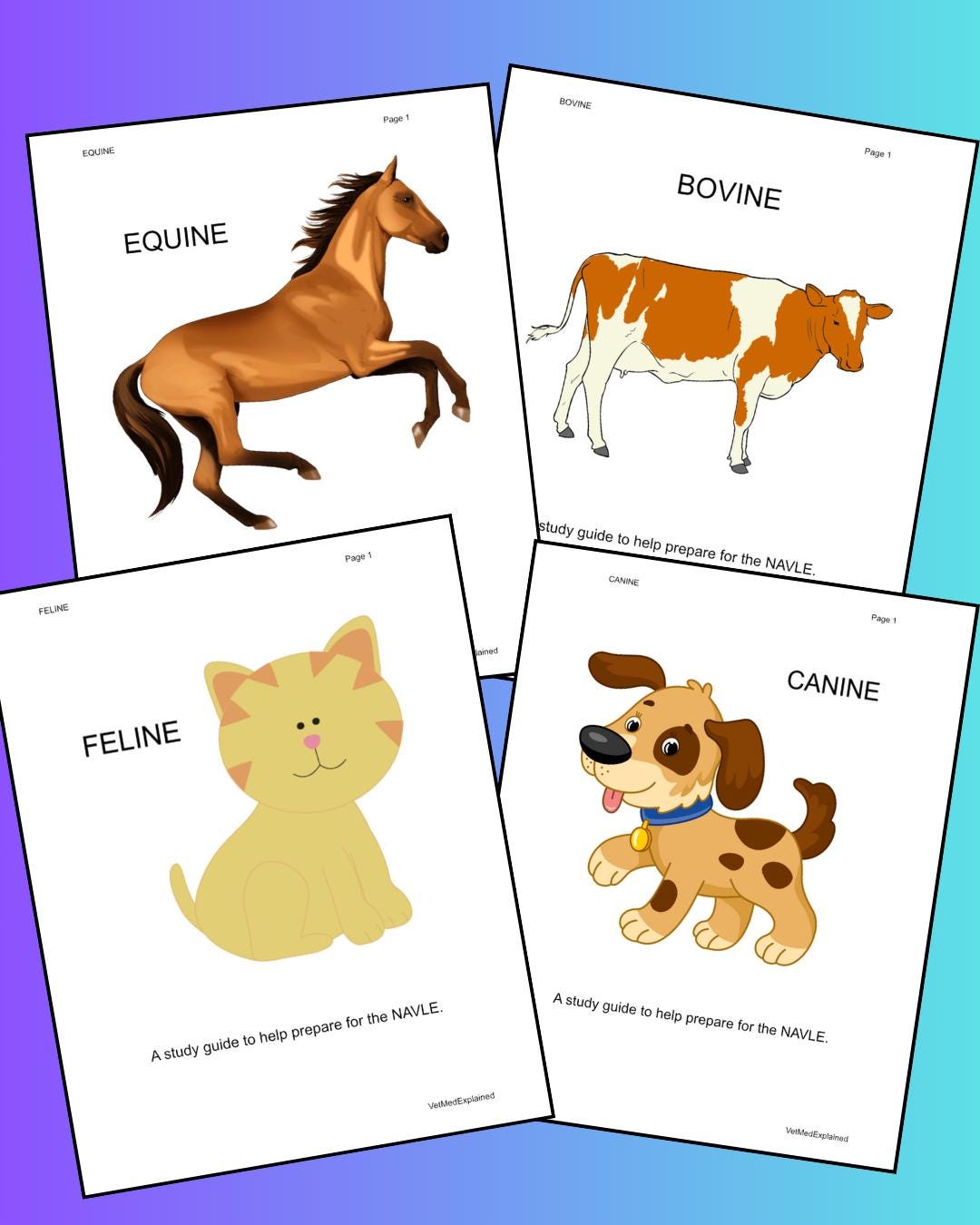 Canine, Feline, Bovine Equine Combo Vet Med Study Guides for the