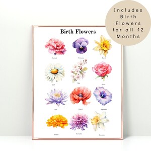 Puede incluir: Un estampado enmarcado con ilustraciones en acuarela de flores de nacimiento para cada mes del a&ntilde;o. El estampado incluye una variedad de flores coloridas, como rosas, amapolas y narcisos, con los nombres de los meses debajo. El texto "Birth Flowers" est&aacute; en la parte superior.
