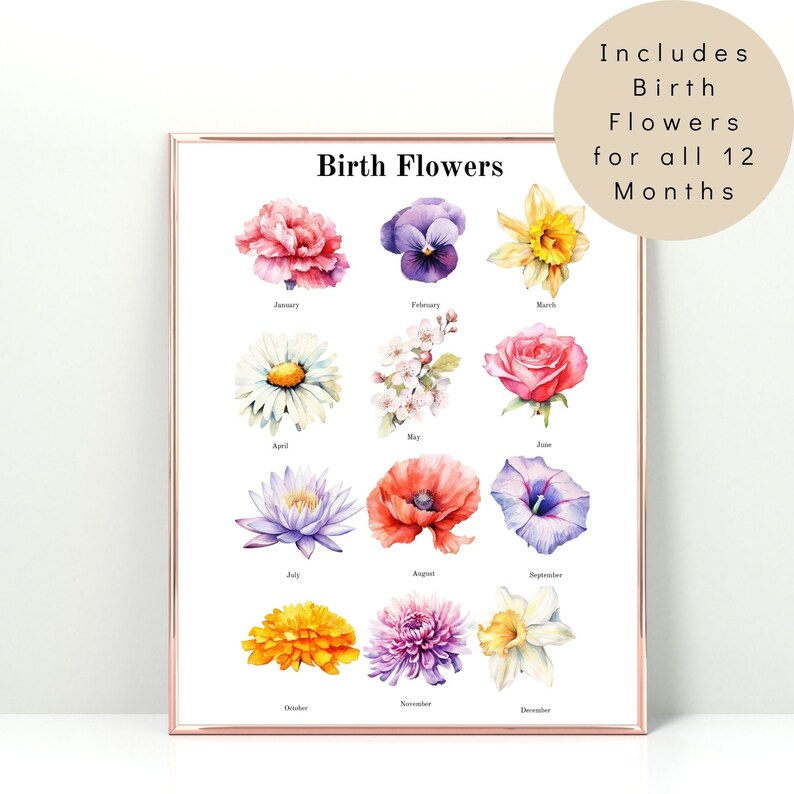 Puede incluir: Un estampado enmarcado con ilustraciones en acuarela de flores de nacimiento para cada mes del a&ntilde;o. El estampado incluye una variedad de flores coloridas, como rosas, amapolas y narcisos, con los nombres de los meses debajo. El texto "Birth Flowers" est&aacute; en la parte superior.