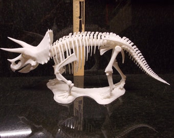 Triceratops Skeleton 3d printed 13" inches long