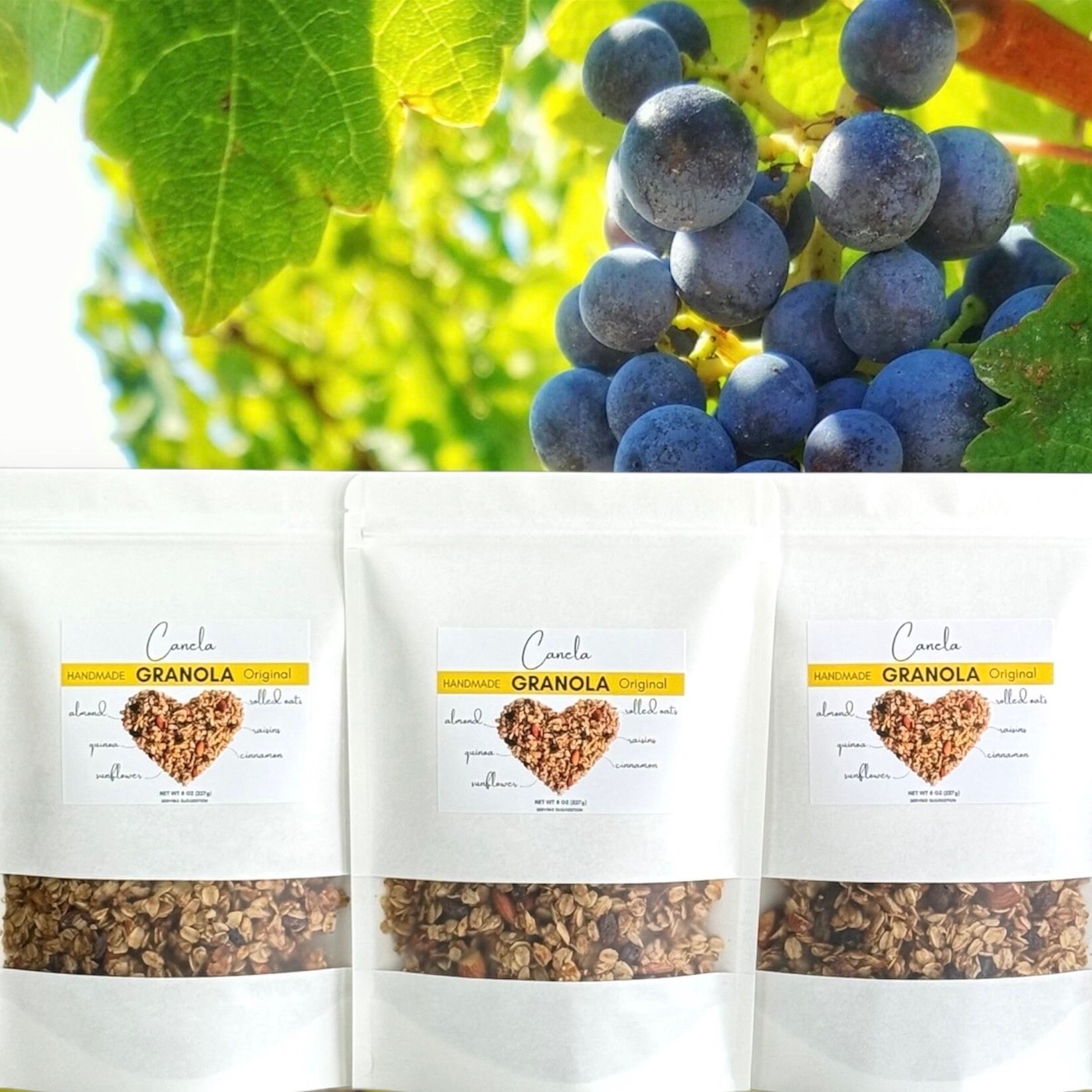Nora’s Kitchen Granola, Vegan, Gluten-Free Bags - 24 bags x 12oz case