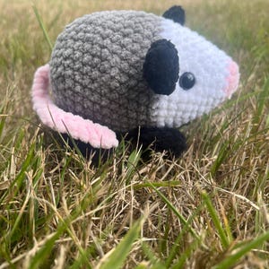 Opossum